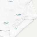 Aqua 100% Organic Cotton Baby Bodysuit